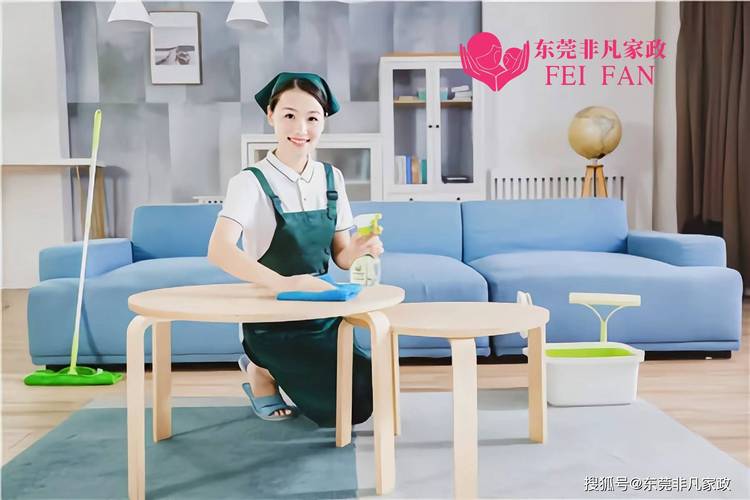 家政知识小课堂 家政服务到底包含哪些内容？新手必看指南